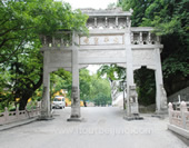 The Archway in the Forest