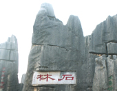 The Stone Forest in Dali Picture