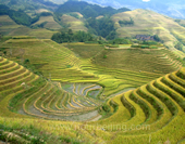 Longsheng Terraces