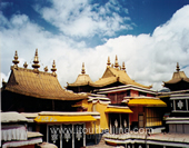 Lama Temple Picture