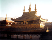 Lama Temple Picture