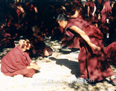 Lama in Lhasa