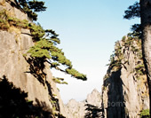 Huangshan View