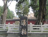 The Cypress in Tai Mountain 