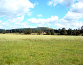 Grassland and Mountain