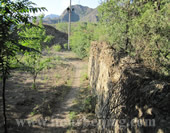 The Road in the Village