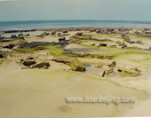 The Beach of Beihai Picture