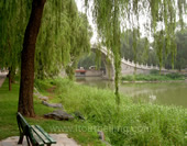 The Bridge in Summer Palace