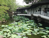 Suzhou Garden Photo