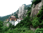 The Temple in the Forest