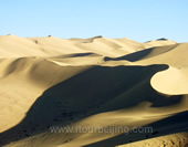 The Desert in Xinjiang