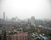 The Bird's-eye View of Wuhan