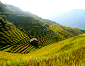 Overlook the Terraces of Longsheng