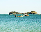 The Harbor of Dalian Picture