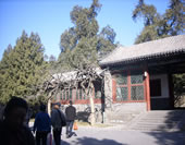 The Houses in Summer Palace