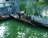 The Picture of Fisherman and Cormorants