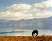 lugu lake Picture