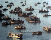 The Picture of The Harbor of Beihai