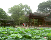 Suzhou Garden