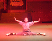 The Martial Art Show by a Little Monk