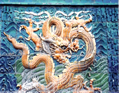 The Photo of Dragon on the Wall