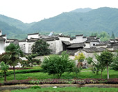 The Buildings and Forest