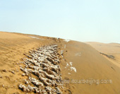 Resonant  sand Bay  in  spring