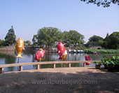 The Photo of The Li Garden in Wuxi