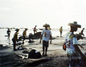 The fisher Men of Beihai Picture