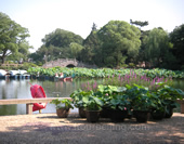 The Photo of The Li Garden in Wuxi