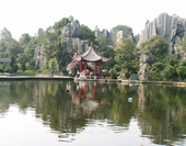 The Picture of The Stone Forest in ShiLin