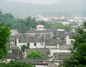 The Buildings in the Forest