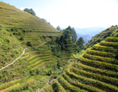 Overlook the Longsheng Terraces