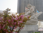 The Sightseeing of Dalian Photo