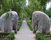 Photo of Ming Tombs in Nanjing