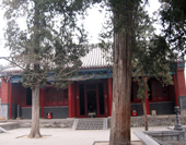 The Building in Shaolin Temple