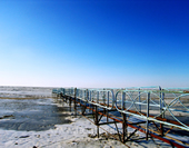 The Picture of The Dalai Lake in Manzhouli