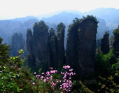 Mountains in Zhangjiajie Park