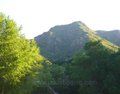 The Mountain of Wutai Mountain