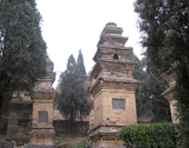 The Picture of Pagoda Forest
