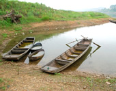 The Photo of Boats on the Taiping Lake