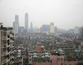 The Bird's-eye View of Wuhan