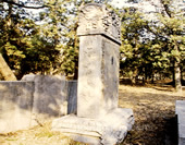 The Steles in the Confucian Temple