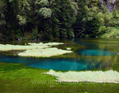 Colourful Lake of Jiuzhaigou Park