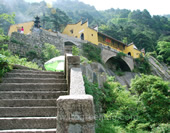 The Temple in the Forest