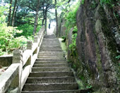 The Stairs on the Mountain