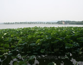 Taihu Lake View