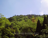 Overlook the Beautiful Lu Mountain