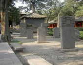 The Stele Forest of Xi'an Photo