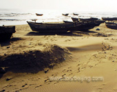 The Beach of Beihai Picture